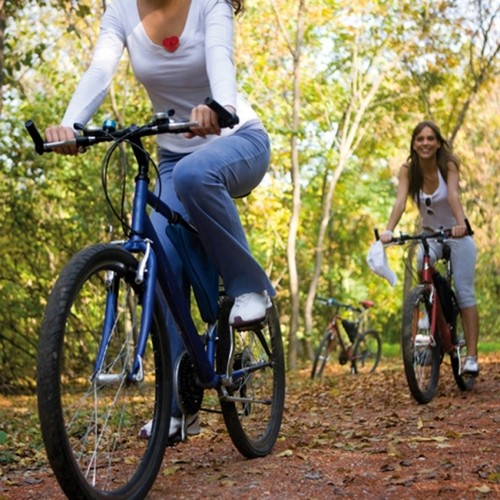 Flashing light clip CINCINNATI