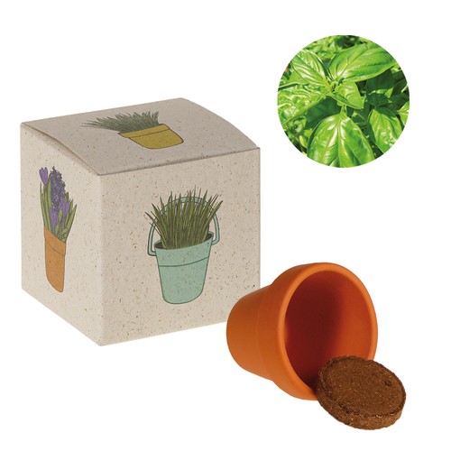 Cube de graines promotionnel (papier d'herbe) - Basilic
