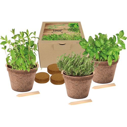 Coco Planting Set Italian Cuisini Coco Planting Set Italian Cuisini