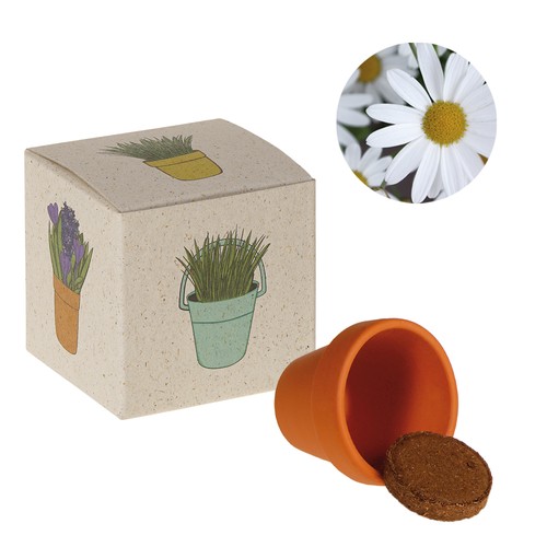 Cube de graines promotionnel (papier d'herbe) - Marguerite Cube de graines promotionnel (papier d'herbe) - Marguerite