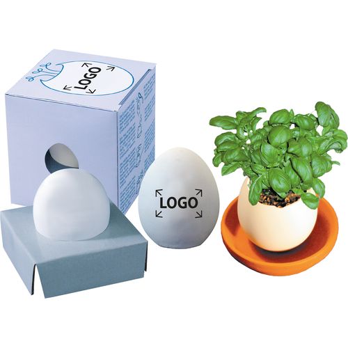 Growing Tamago Cress