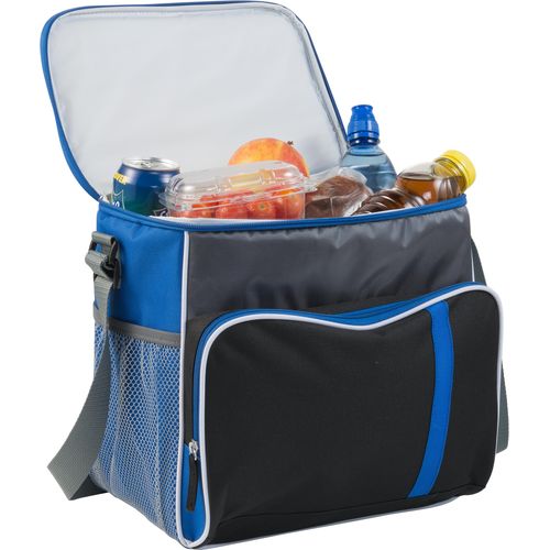 Polyester (600D) cooler bag Ravi