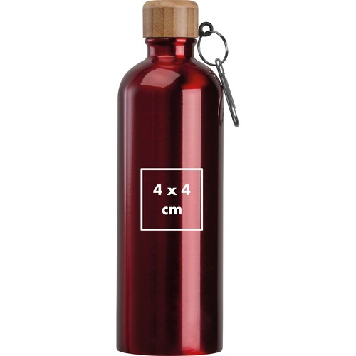 Gourde en acier inoxydable avec mousqueton, 750ml Gourde en acier inoxydable avec mousqueton, 750ml