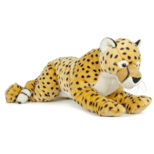 Peluche