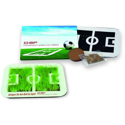 Growing Football Arena