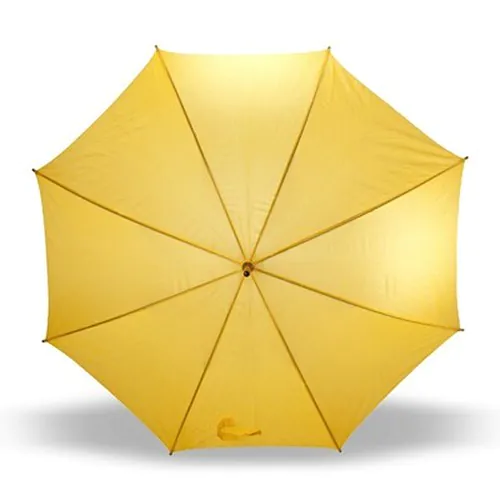 Automatic umbrella | Hayden