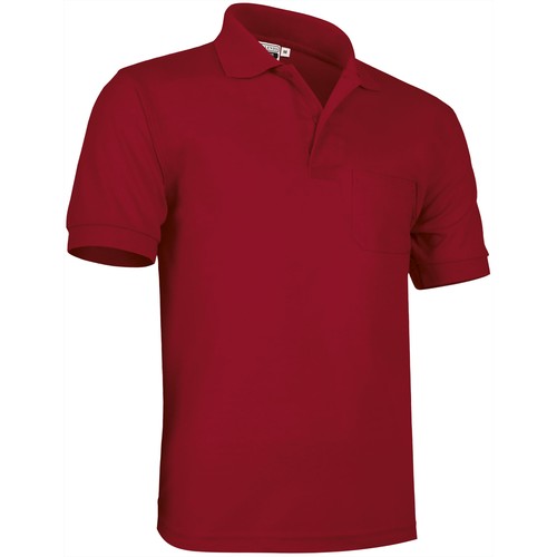 polo polo
