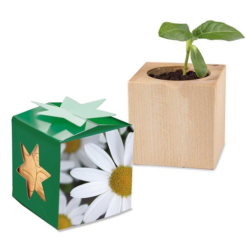 cubo publicitario