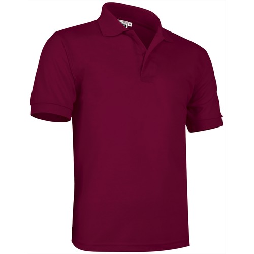 koszulka polo