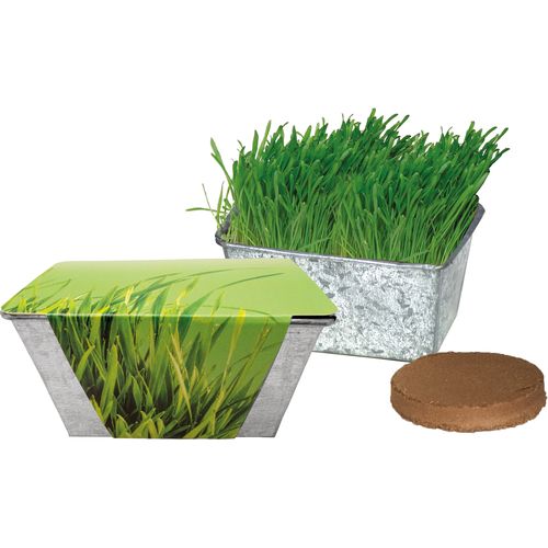 Zinc Box Cat Grass Zinc Box Cat Grass