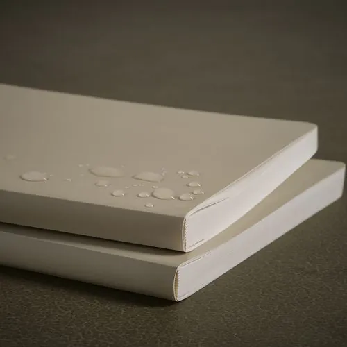 Homer Notebook