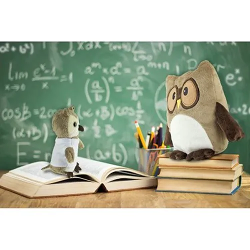 Plush owl, keyring | Cleverly