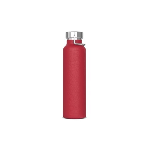 Bouteille Skyler 650ml