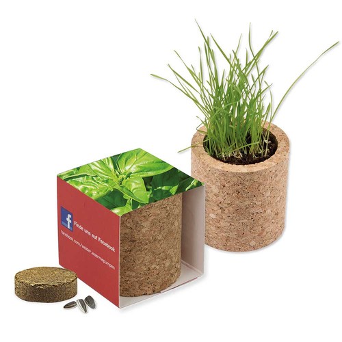 Pot rond en liège avec graines - Basilic