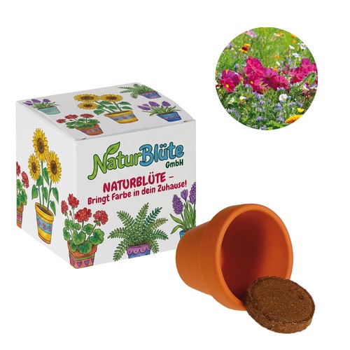 Cube de graines promotionnel (papier blanc) - Mélange de fleurs d'été Cube de graines promotionnel (papier blanc) - Mélange de fleurs d'été