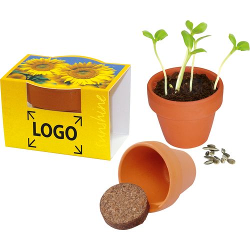 Pot en terre cuite Mini Tournesol Pot en terre cuite Mini Tournesol