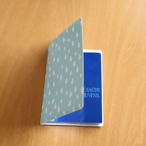 CUSTOMIZABLE VACCINE BULLETIN HOLDER C/MS