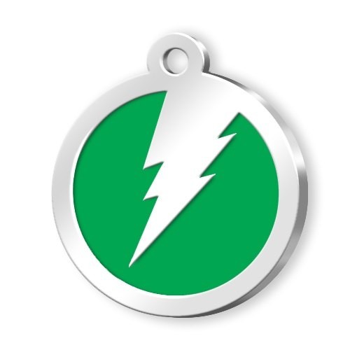 MEDAILLE CERCLE VERTE FOUDRE