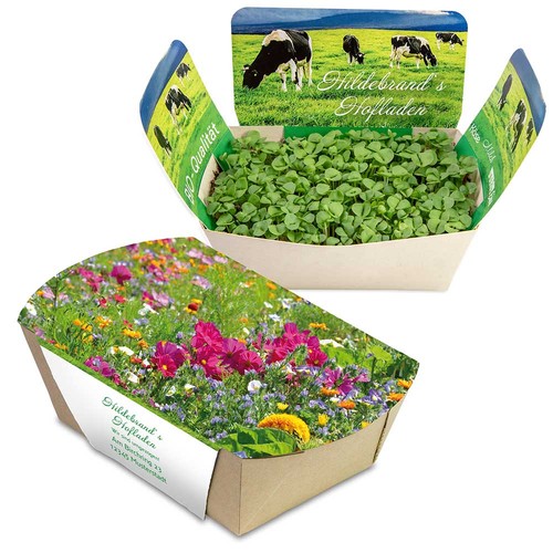 Jardinodrome avec graines - Mélange de fleurs d'été Jardinodrome avec graines - Mélange de fleurs d'été