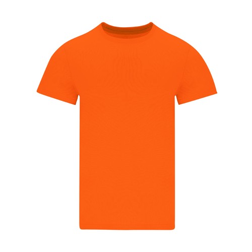 Adult Colour T-Shirt Perkins