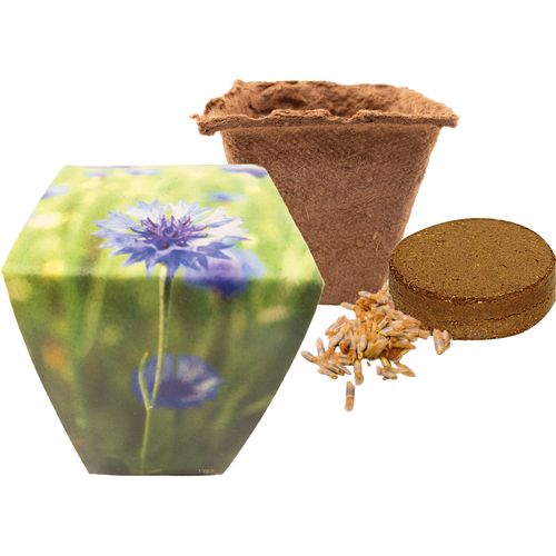 Pot Nature Blue