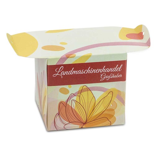 erbe aromatiche erbe aromatiche