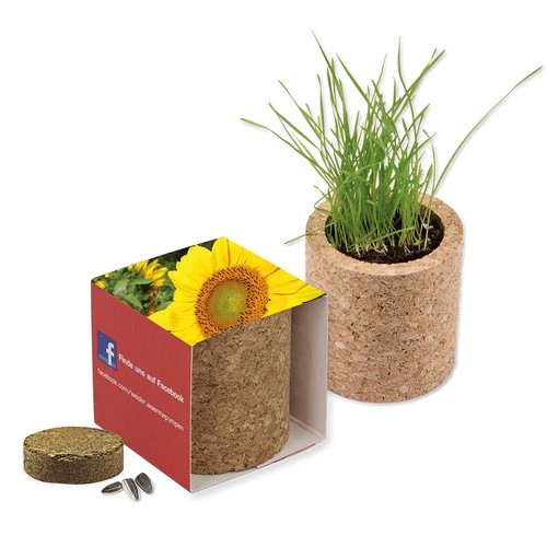 Pot rond en liège avec graines - Tournesol