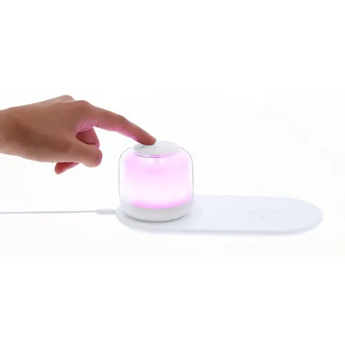 Charger Lamp Reginal