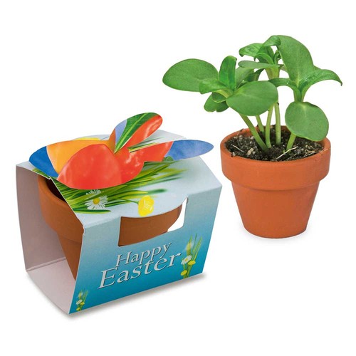 Mini plantenpot konijn met zaden - Paprika