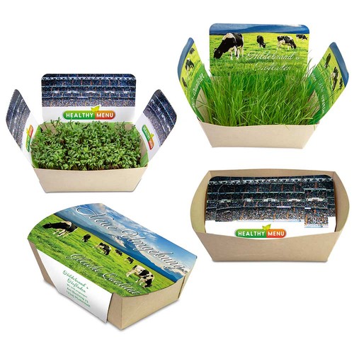 Plantodrom met zaden - Basilicum