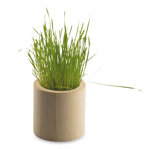 Pot rond en bois avec graines - Mélange de fleurs d'été Pot rond en bois avec graines - Mélange de fleurs d'été