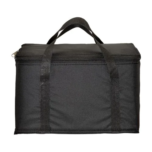 Cooler bag with silver interior