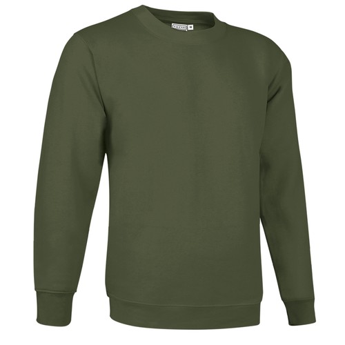bluza