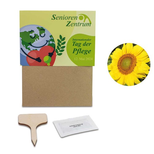 Ensemble de plantes - Lot de 2 - combinaison gratuite Ensemble de plantes - Lot de 2 - combinaison gratuite