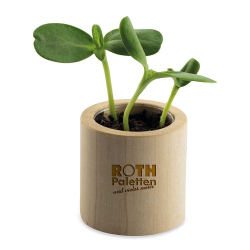 Houten plantenset rond met zaden - Goudsbloem