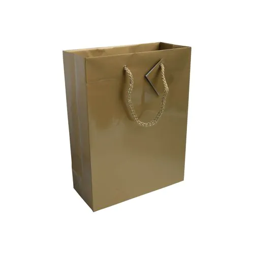157 g/m2 laminated paper shopping bag with gusset and bottom reinforcement, string handles