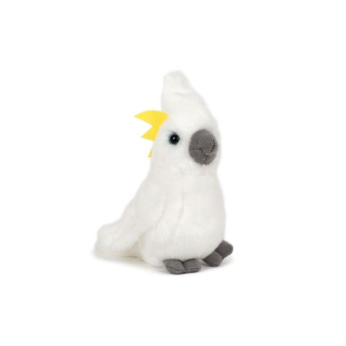 peluche