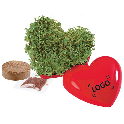 Coeur Sain Coeur Sain