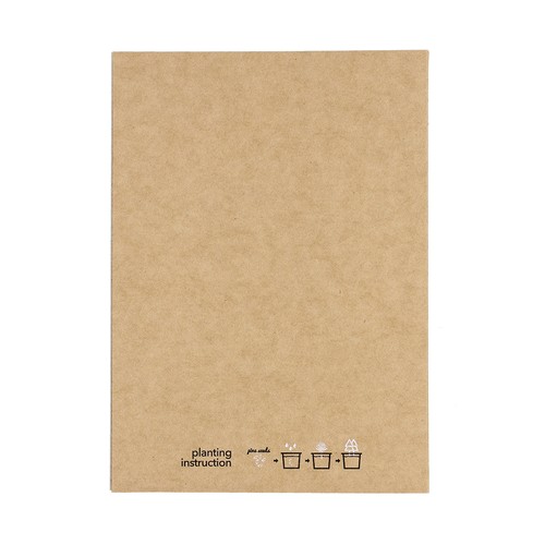 Postal Adorno Astrox Postal Adorno Astrox