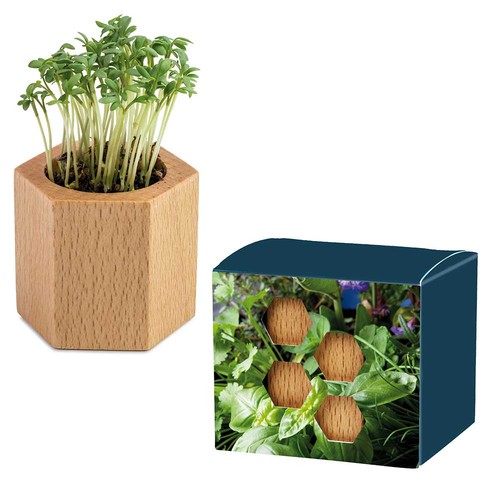 erbe aromatiche