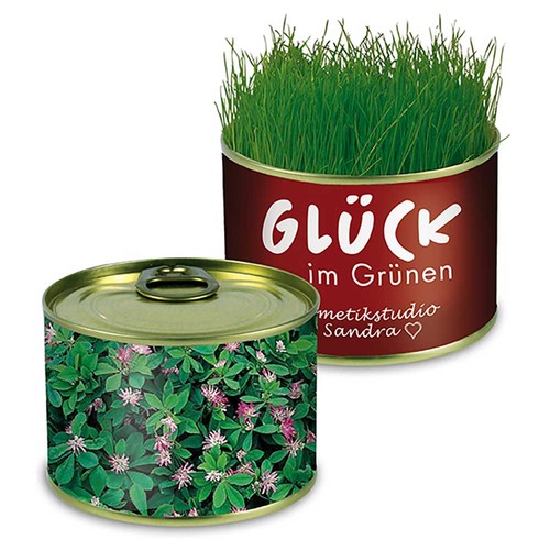 Blik met zaadjes, veel keuze aan bloemen en kruiden. een potgrond tablet wordt meegeleverd. De wikkel is groot genoeg voor uw logo of tekst en geeft dit blikje een uniek karakter met zaden - Persisch Klaver Blik met zaadjes, veel keuze aan bloemen en kruiden. een potgrond tablet wordt meegeleverd. De wikkel is groot genoeg voor uw logo of tekst en geeft dit blikje een uniek karakter met zaden - Persisch Klaver