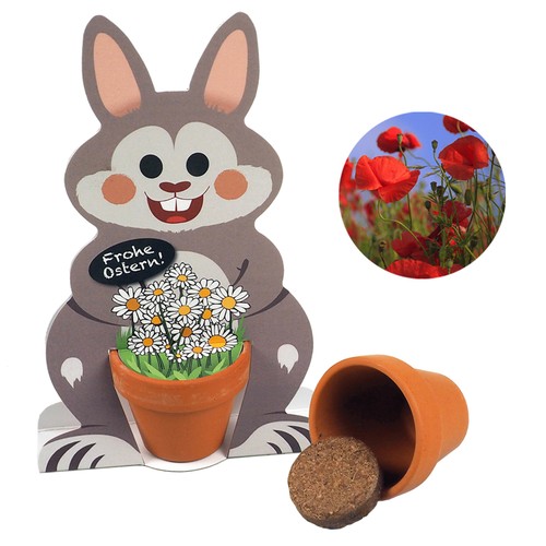 semillas semillas