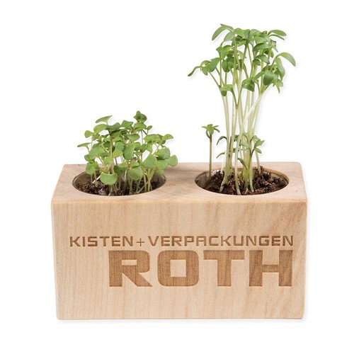 Pflanz-Holz 2er Set mit Samen - Kräutermischung
