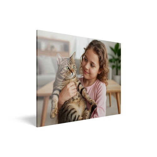 Acrylic Print Acrylic Print