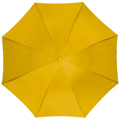 Automatic umbrella