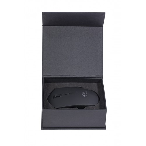 souris & base induction 10W