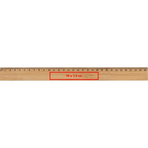 Bamboo ruler