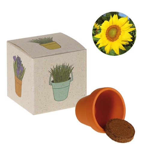 Cube de graines promotionnel (papier d'herbe) - Tournesol
