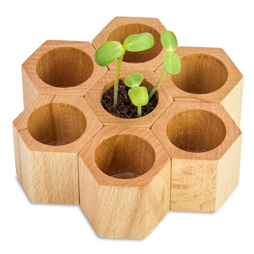 Houten plantenset Hexagon met zaden - Margriet Houten plantenset Hexagon met zaden - Margriet