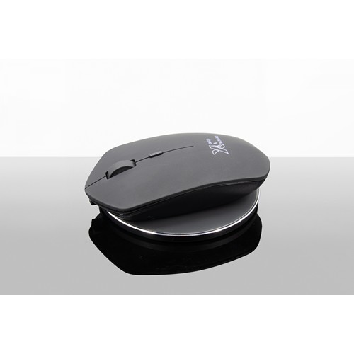 souris & base induction 10W souris & base induction 10W
